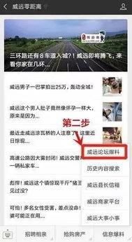 粤东事情爆料视频大全,揭秘真相与争议